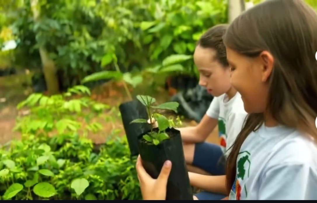 TRANSFORMANDO O FUTURO 77