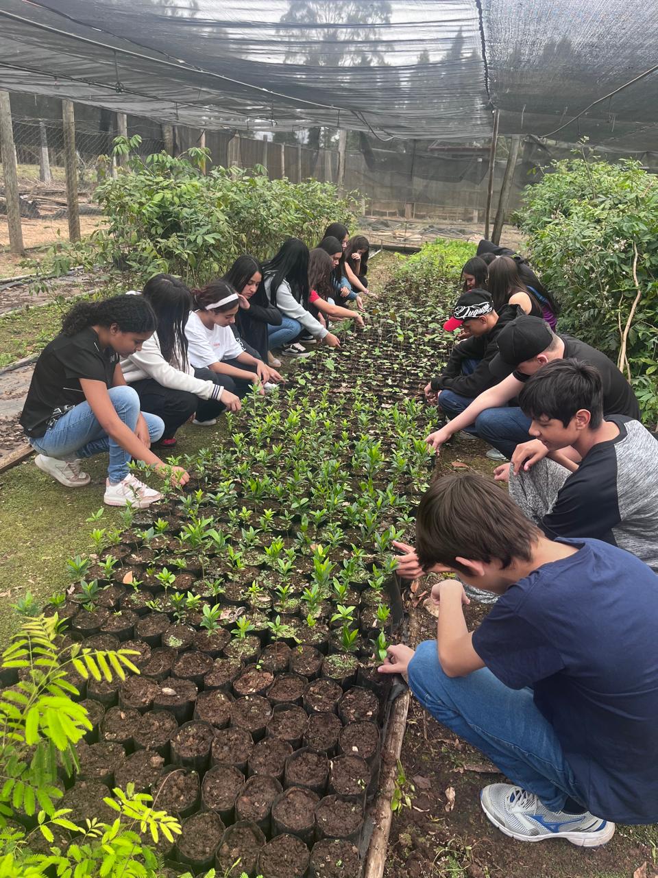 MUDAS-DA-CIDADE dfgdfg4