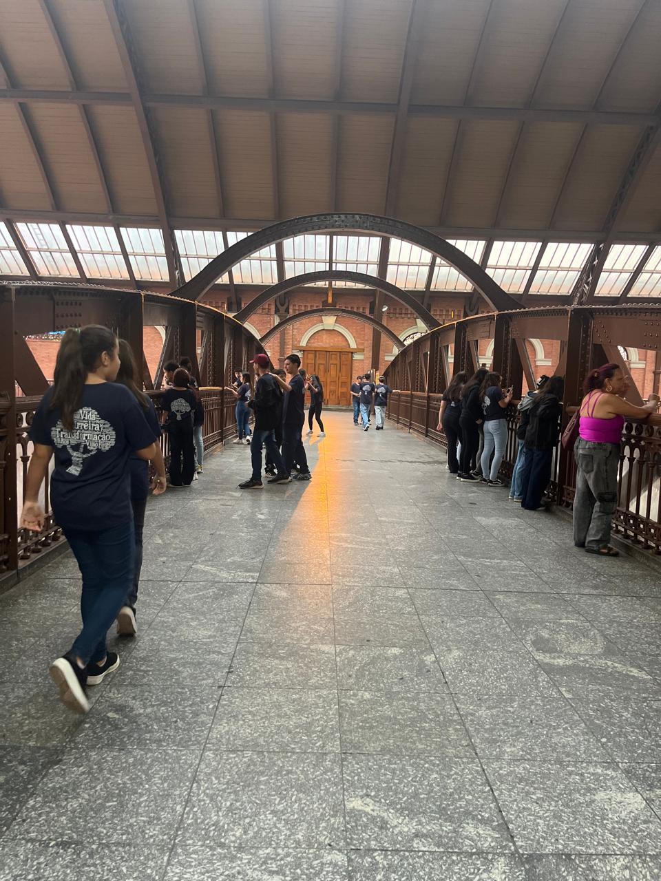 MUDAS-DA-CIDADE dfgdfggdfg